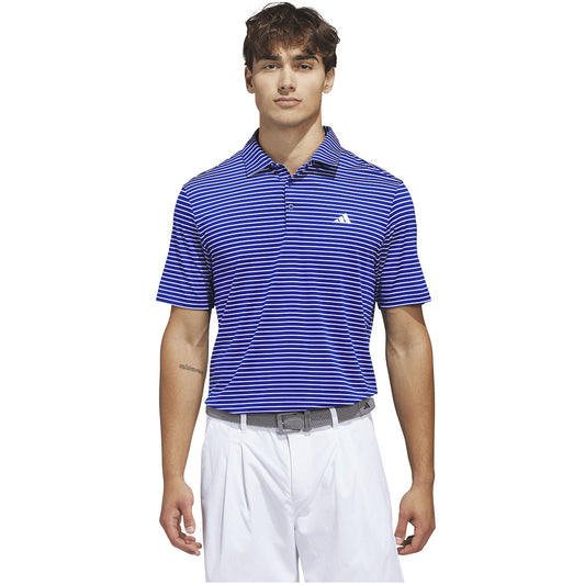 Collegiate Royal