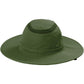 Olive Leaf