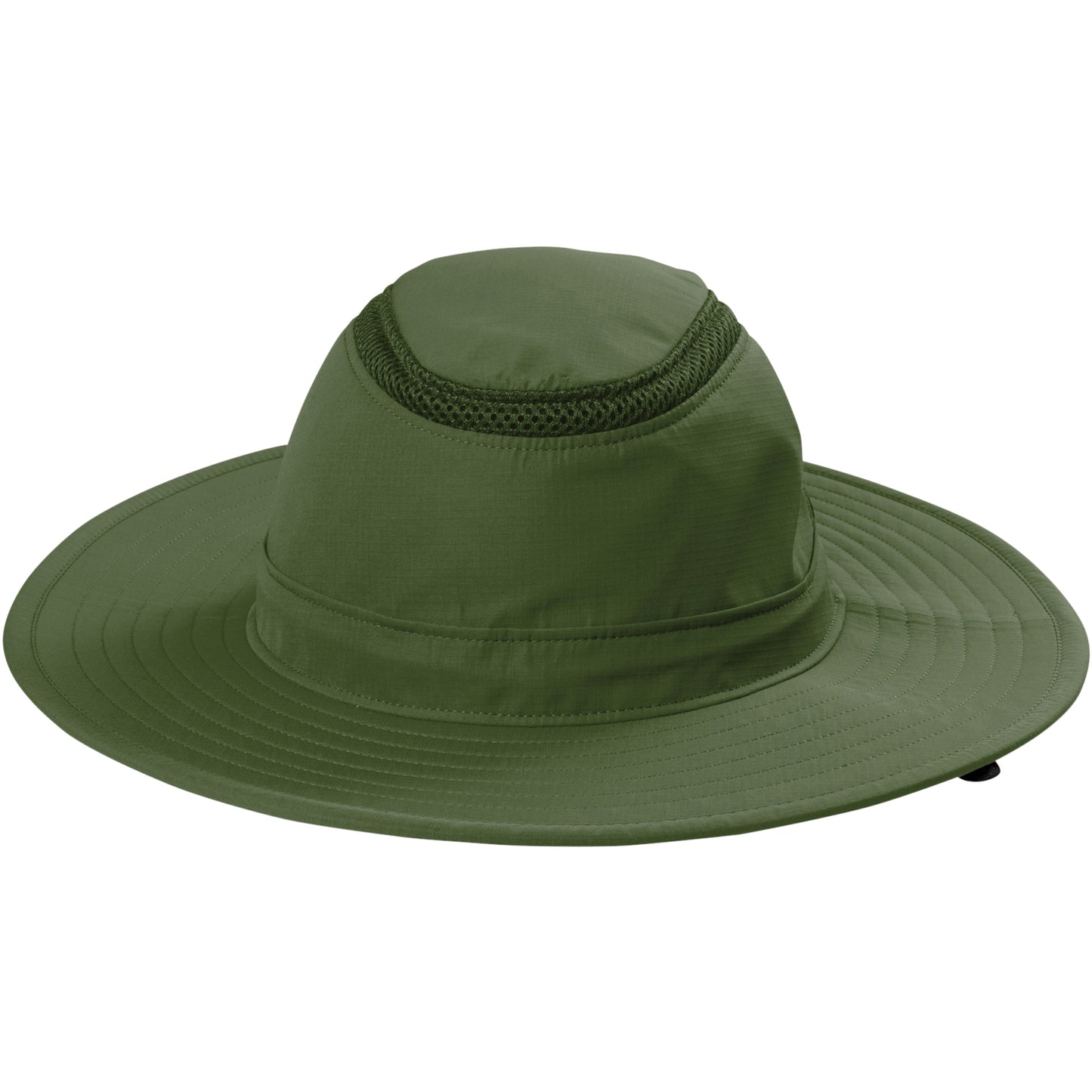 Olive Leaf
