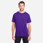 Campus Purple
