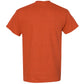 Antique Orange