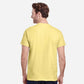 Cornsilk