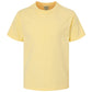 Summer Squash Yellow