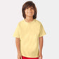 Summer Squash Yellow