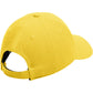 Team Collegiate Gold