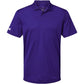 Collegiate Purple