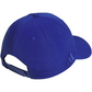 team royal blue