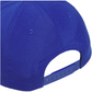 team royal blue