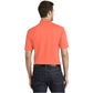 Coral Splash