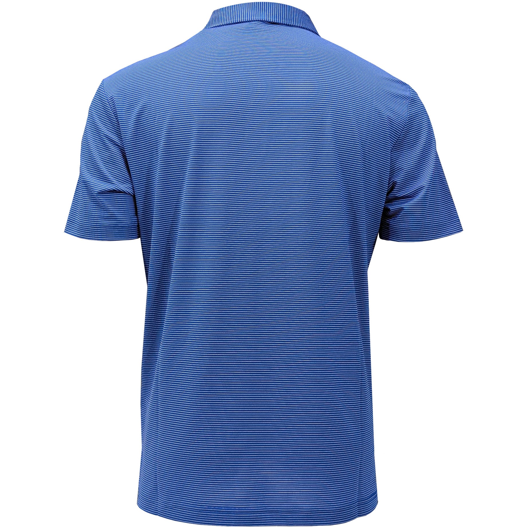 royal blue/white