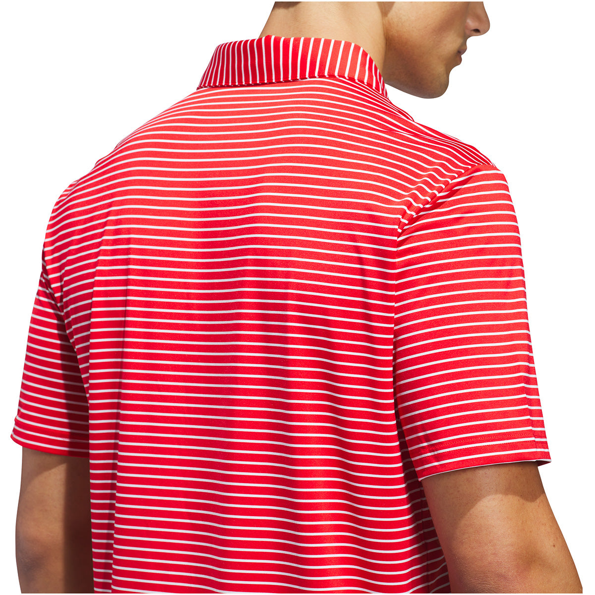 Collegiate Red