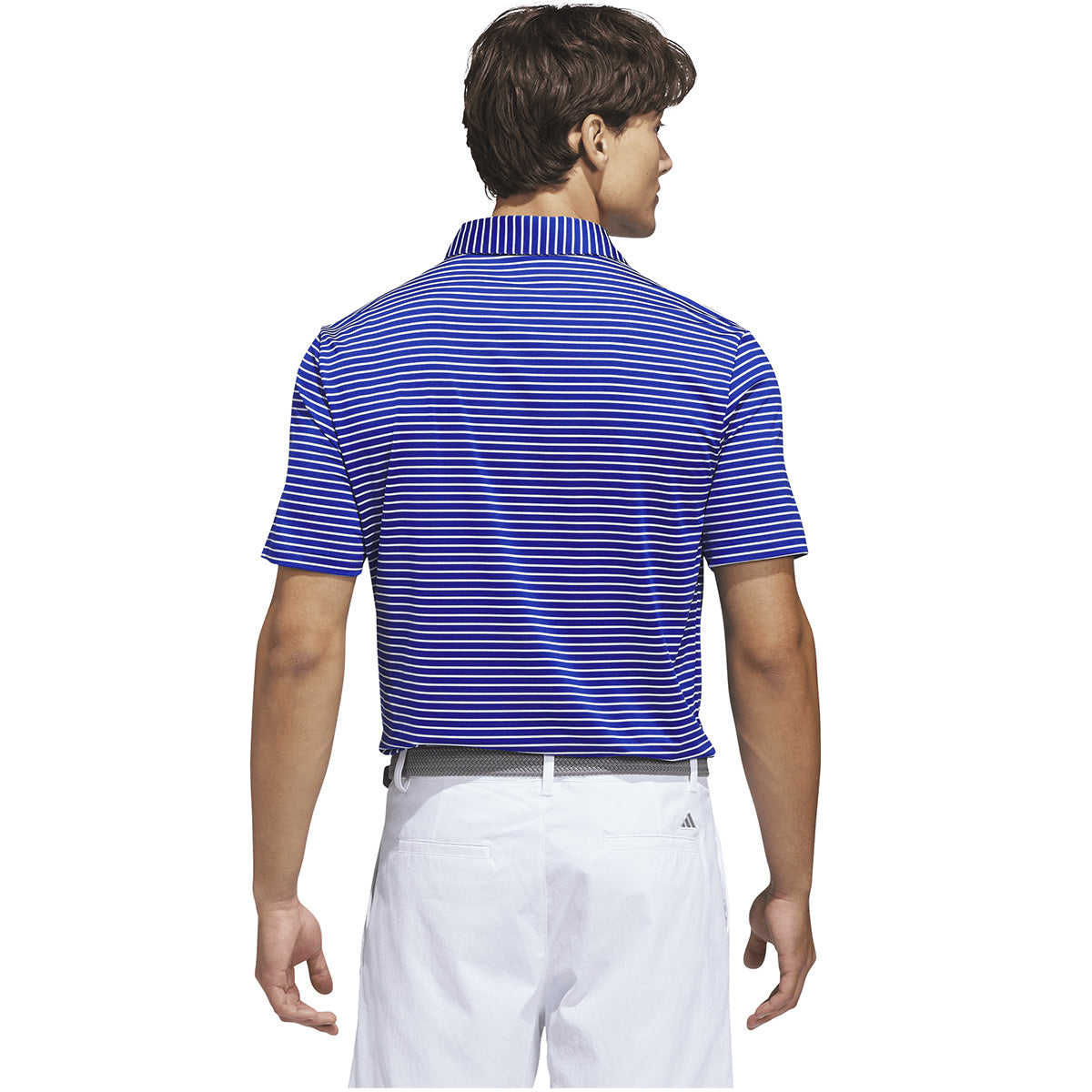 Collegiate Royal