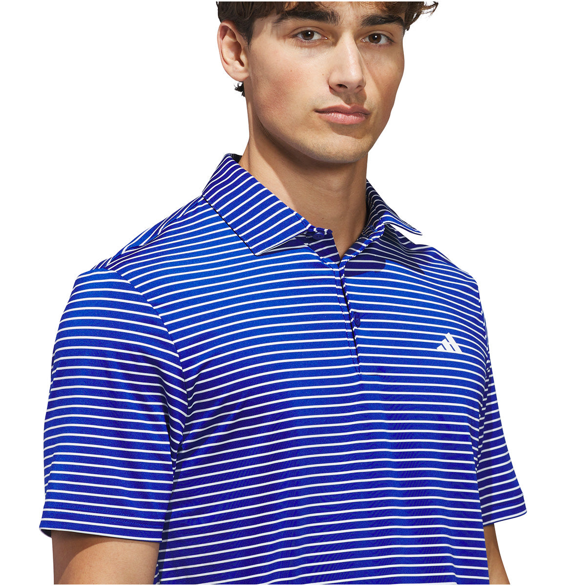 Collegiate Royal