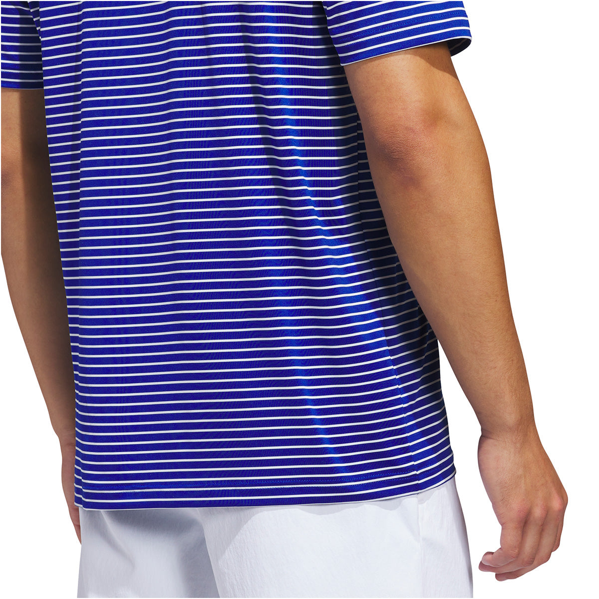 Collegiate Royal