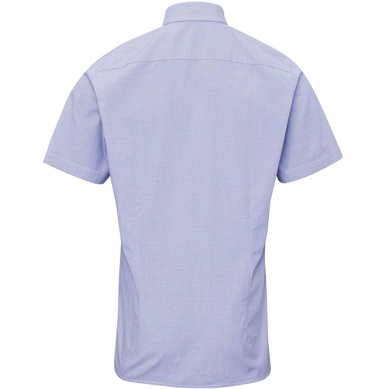 Light Blue/White