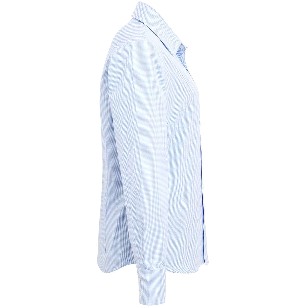 Light Blue/White