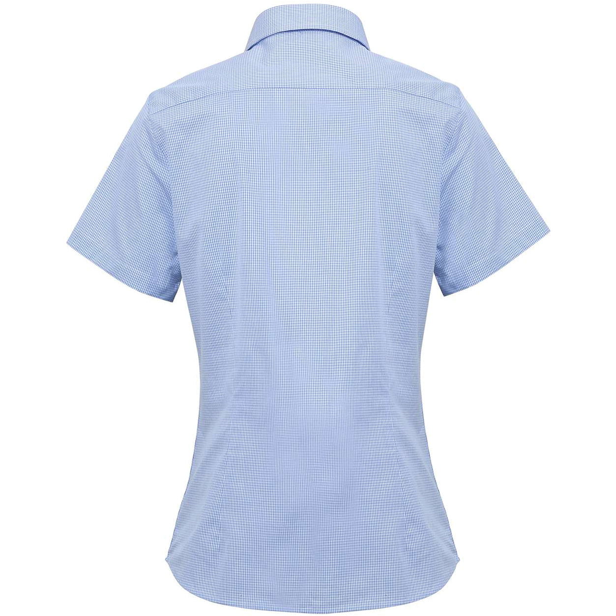 Light Blue/White