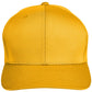 Sport Athletic Gold